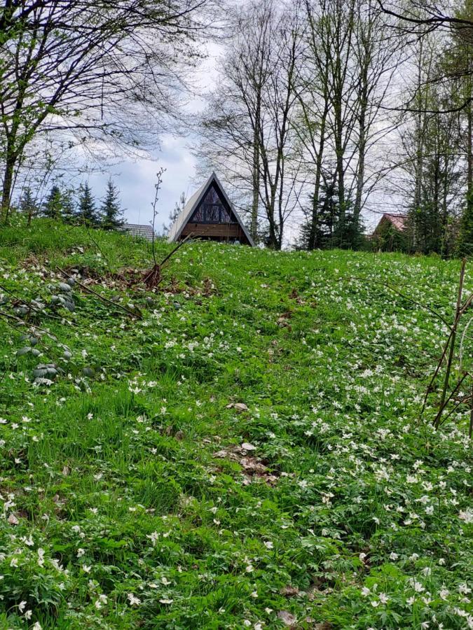 Holiday home U Hanki Zywiec
